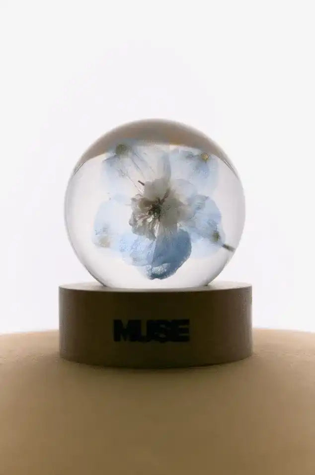 BTS ジミン MUSE ペーパーウェイト PAPER WEIGHT BTS JIMIN MUSE Paper Weight ジミン - メルカリ