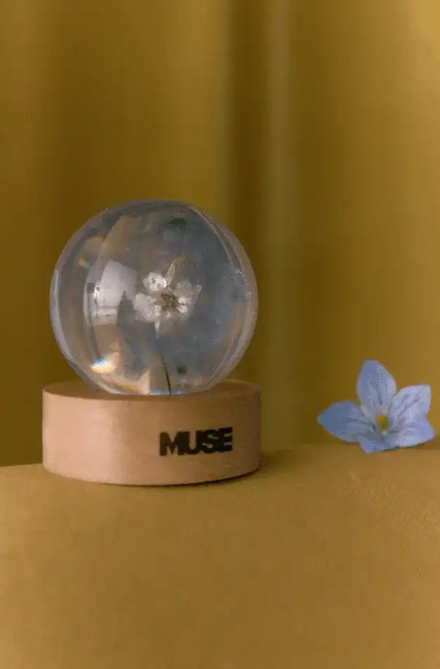 アイドル BTS Jimin MUSE Paper Weight BTS Jimin Muse BLOOMING ver. Flower Paper Weight NEW item rare