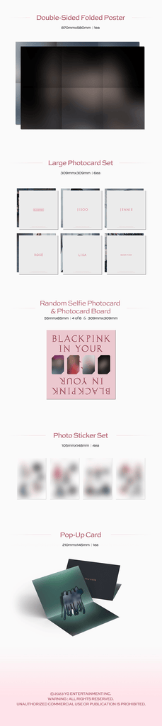 BlackPink (2nd Album) - Born Pink Vinyl LP - Oppa Store