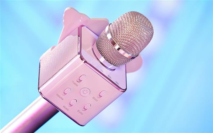 BT21 Minini Bluetooth Microphone Speaker - Oppa Store