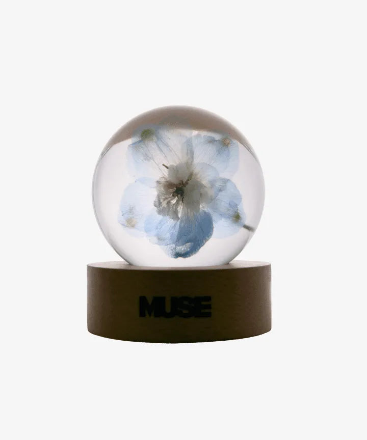 Buy BTS Jimin 'MUSE' Album Official MD Merch | Oppa Store