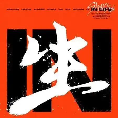 Stray Kids - [In生 (In Life)] 1st Album Repackage – Oppa Store