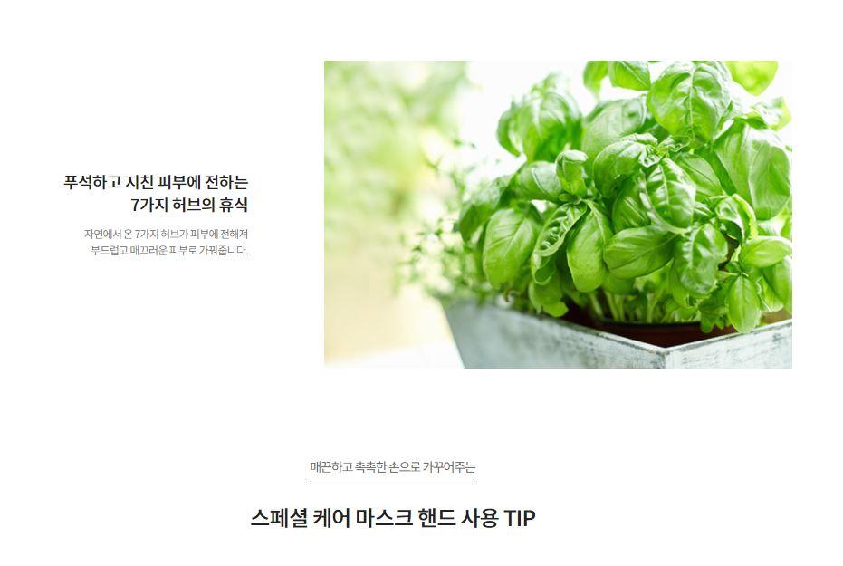 [Innisfree] Special Care Body Mask - Oppastore